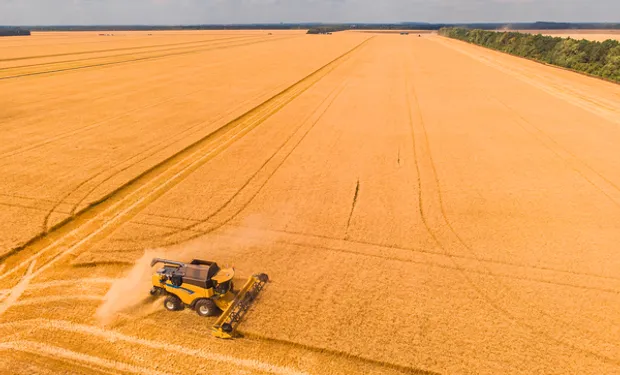 Brasil vs. Argentina: por qué el agro brasileño hoy produce hasta 155 % más granos