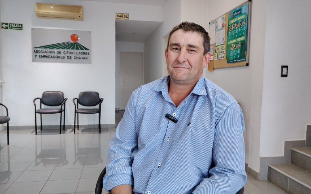 Citricultura: “Es una situación límite, hace años que no estábamos tan al límite” dijo Molo