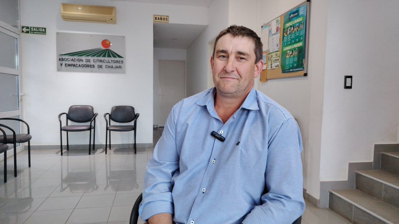Molo pablo