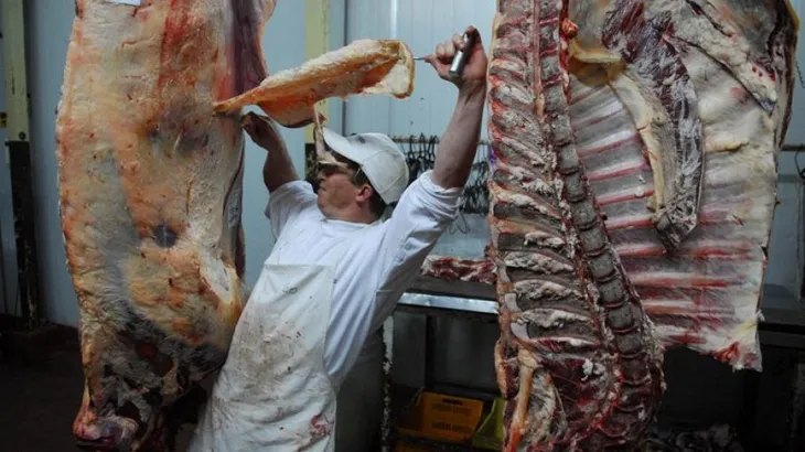 Hito en el campo argentino: los bovinos llegan al mayor peso de faena desde 1990
