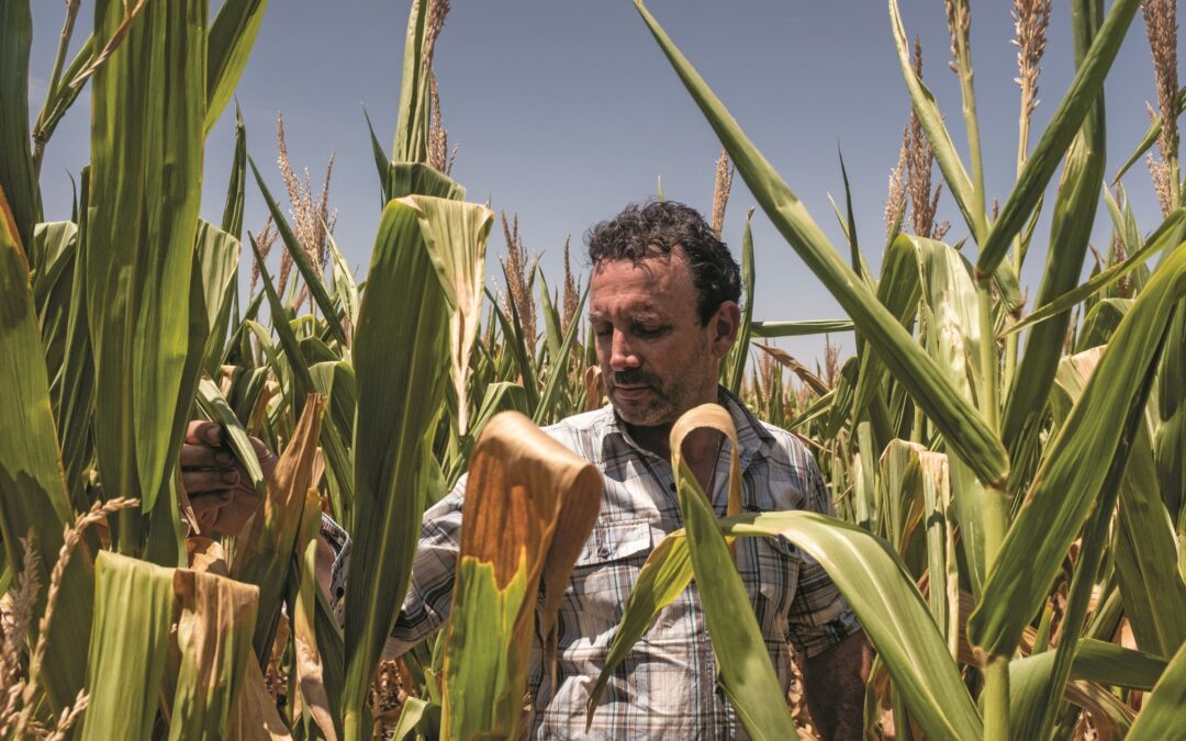 El Gobierno nacional lanzó un nuevo protocolo de semillas para impulsar las exportaciones agroindustriales