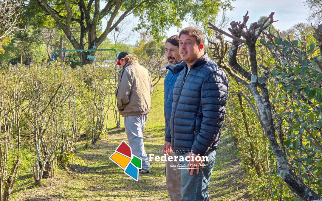 Federación evalúa el estado del arbolado público