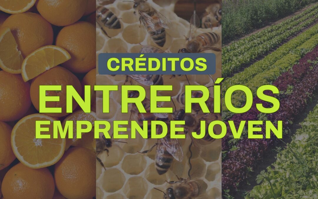 Abrió la convocatoria del programa Entre Ríos Emprende Joven