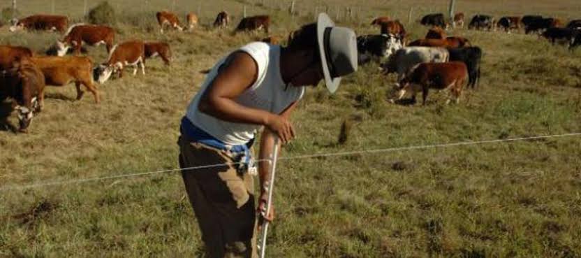 Medida del Renatre: la prestación por desempleo para trabajadores rurales sube 3,28% desde julio