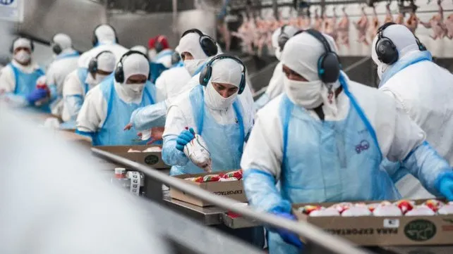 Exportaciones de carne vacuna crecieron 46% en lo que va del año