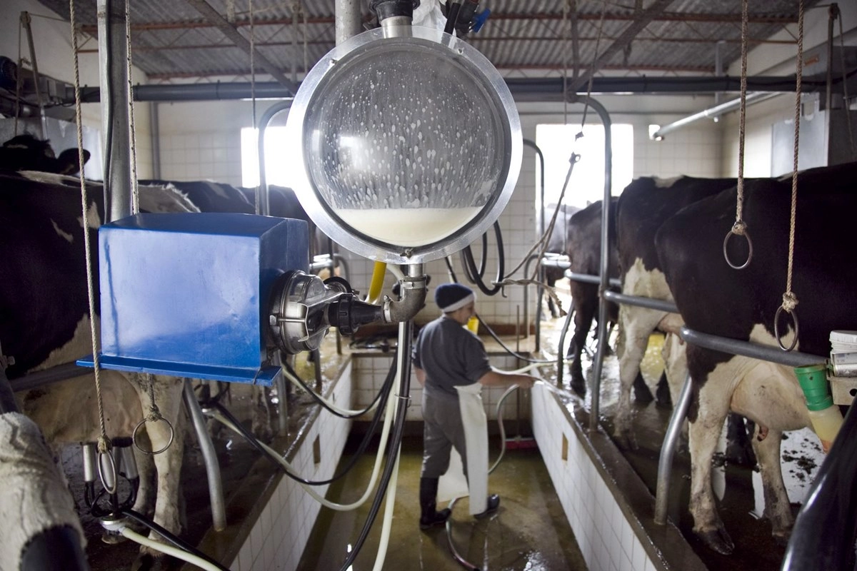 Advierten sobre una difícil situación para los tambos entrerrianos