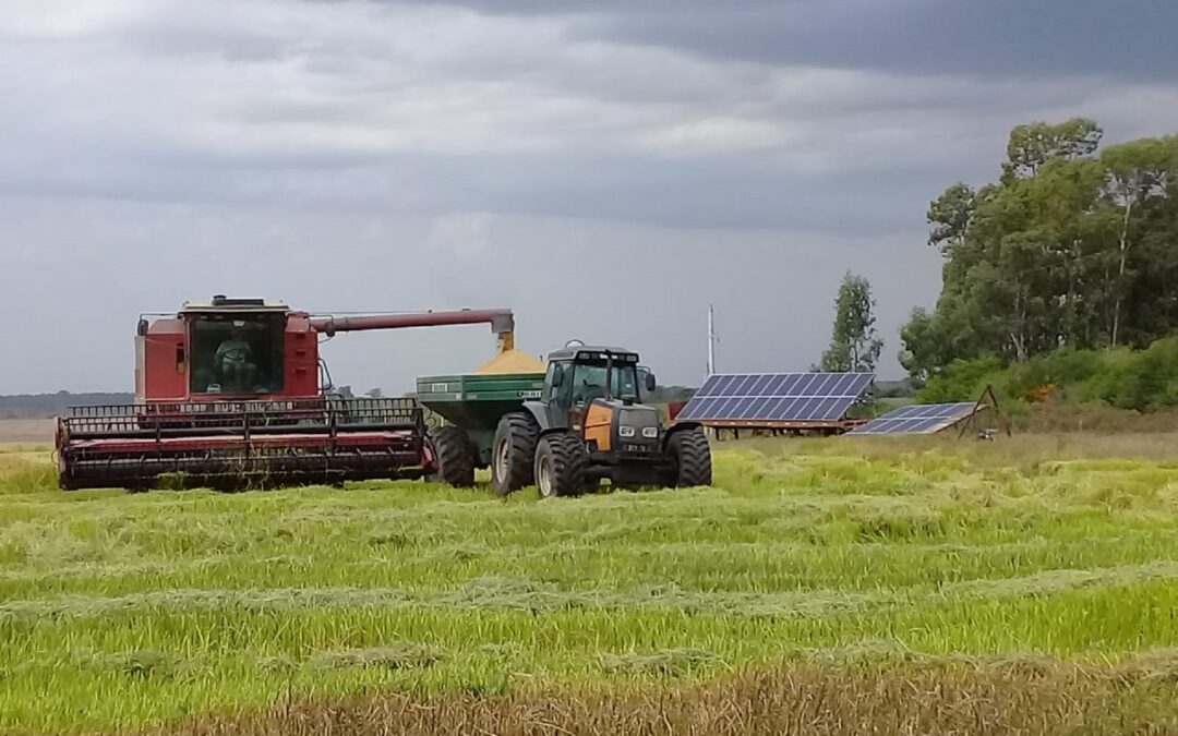 Entre Ríos se ubicó entre las provincias con mejor desempeño del país en el consumo de combustibles