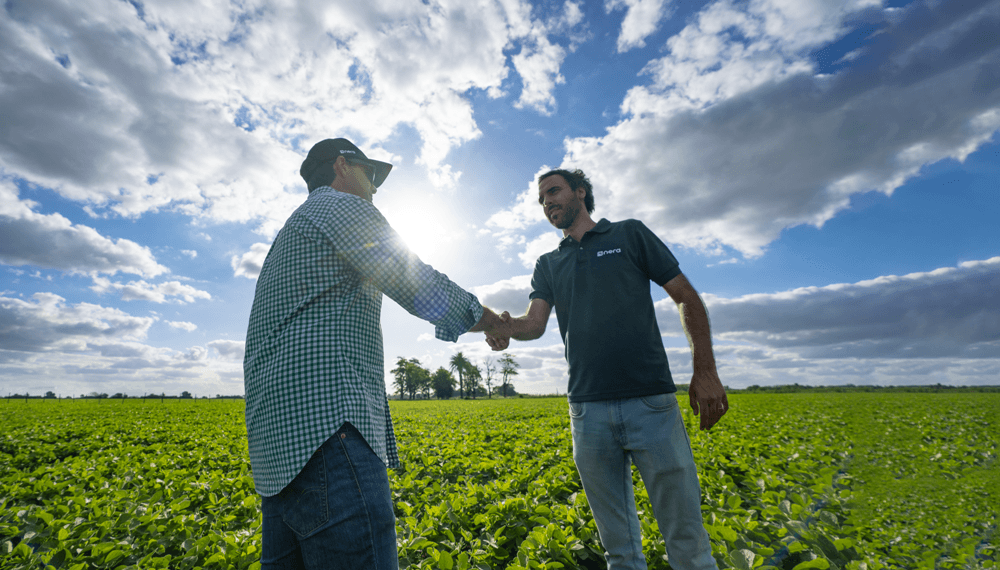 El crédito agropecuario tiene luz “verde”: 8 de cada 10 operaciones se pactan en dólares