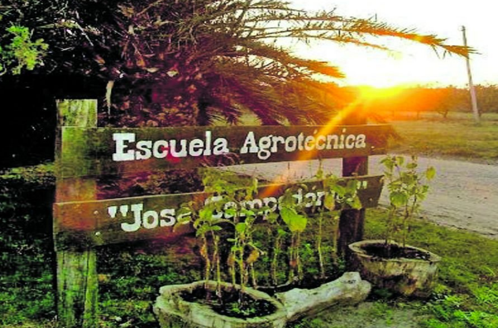 6de agosto: Día del veterinario, ingeniero agrónomo y de la enseñanza agropecuaria