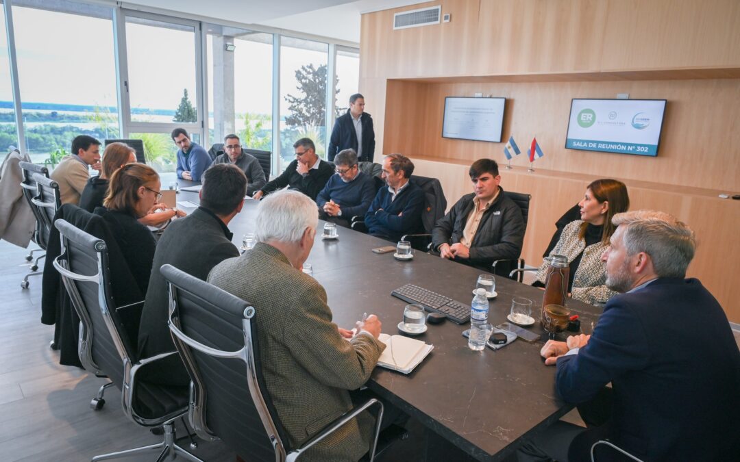 El gobierno provincial gestionará ante Nación un alivio en las tarifas eléctricas para el sector foresto-industrial